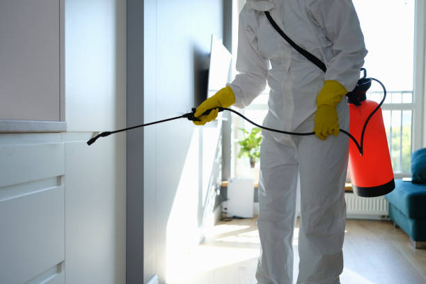 Best Black Mold Removal  in Roseland, FL